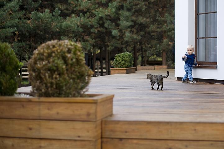 Вілла Modra Sikorka Смардзевіце Екстер'єр фото